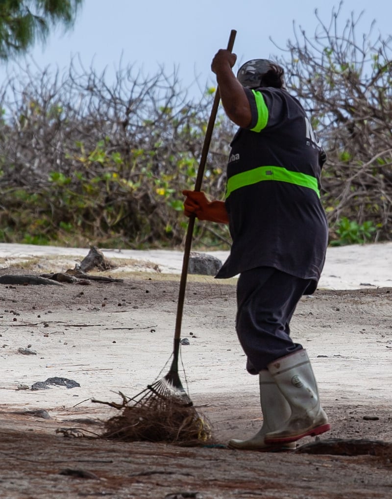 Raking Techniques