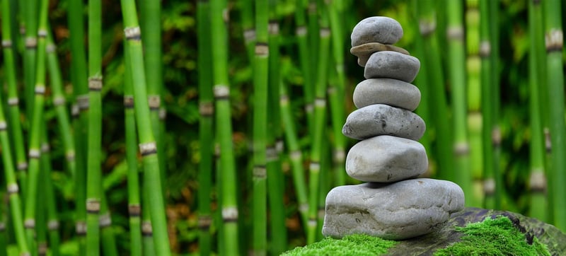 Karesansui Zen Garden